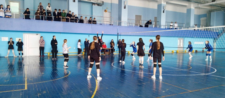 Турнир по волейболу среди сборных команд девушек общеобразовательных учреждений «Весна 2024».